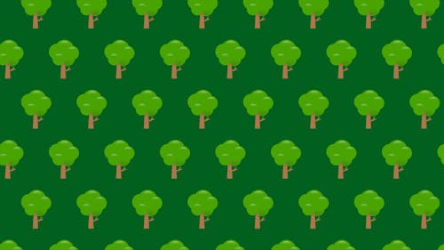 Animated Video of Trees
