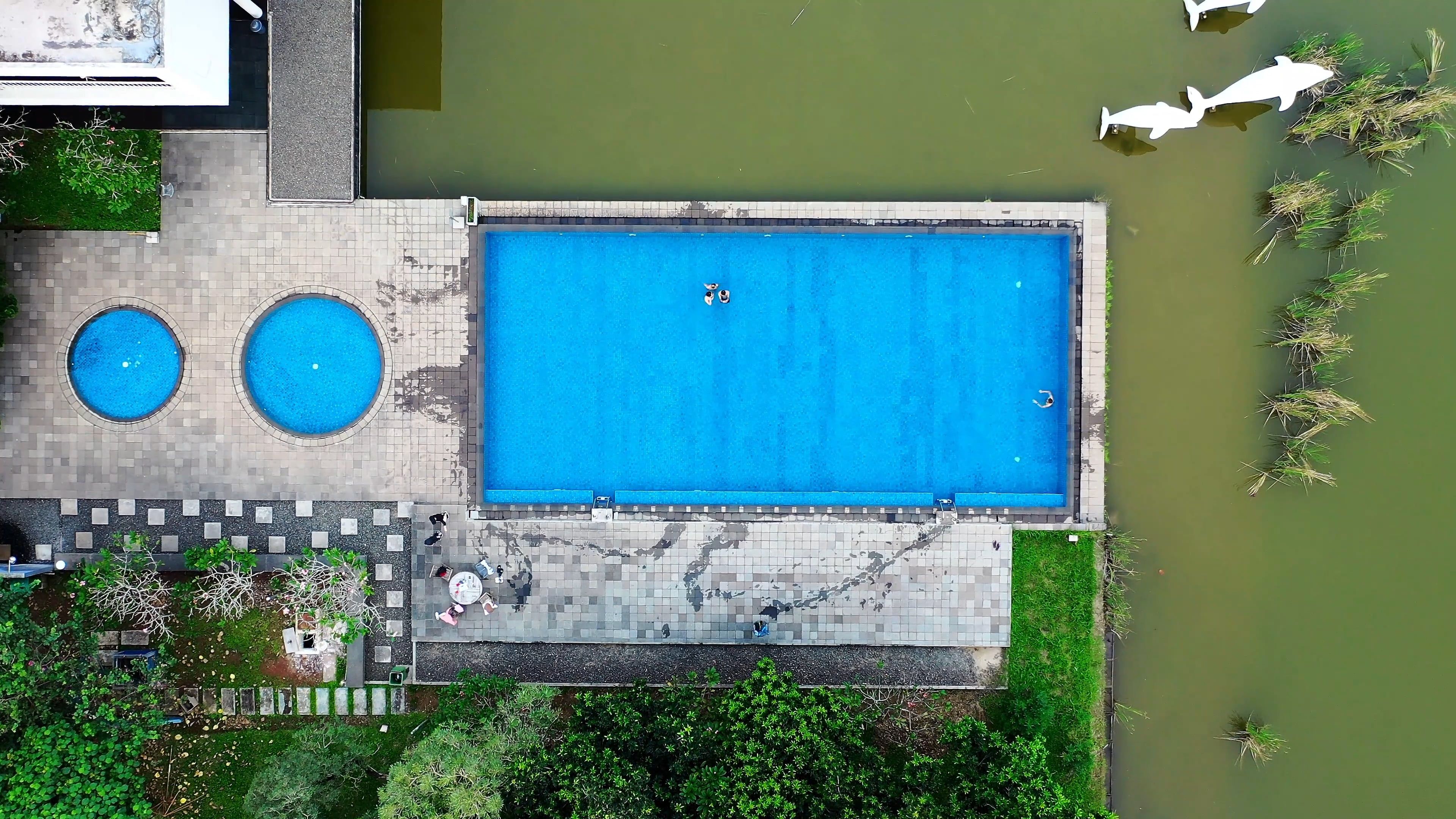 Google Images Pool People Swimming in a Pool · Free Stock Video