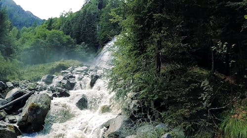 Slow Motion Footage of a Waterfalls on the Forest