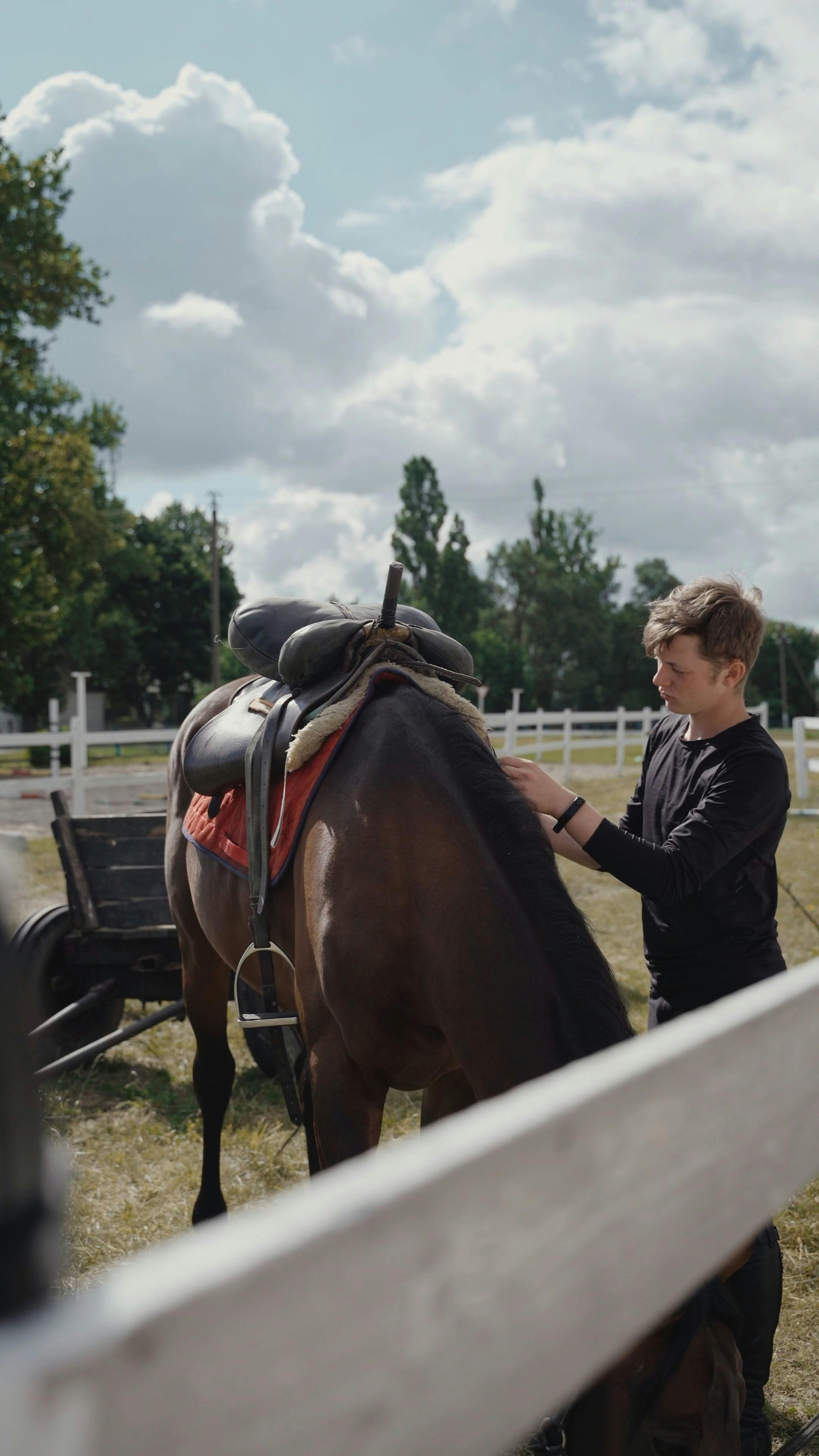 Melvin Reine Videos, Download Free 4k Stock Video Footage & Melvin