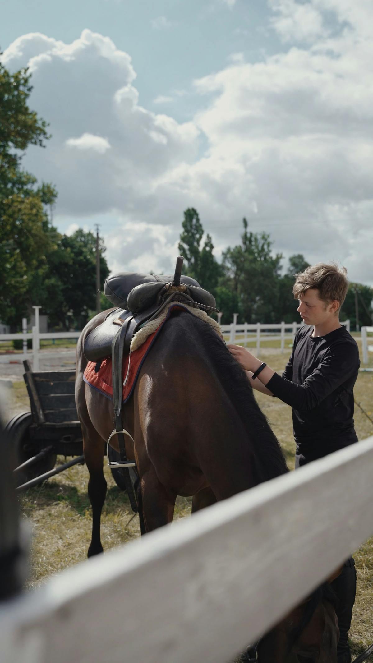 Melvin Reine Videos, Download Free 4k Stock Video Footage & Melvin