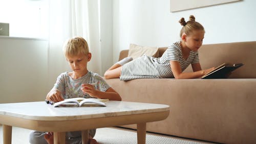 Brother and Sister Studying and Doing Homework