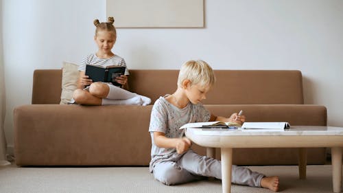 Brother and Sister Studying and Doing Homework