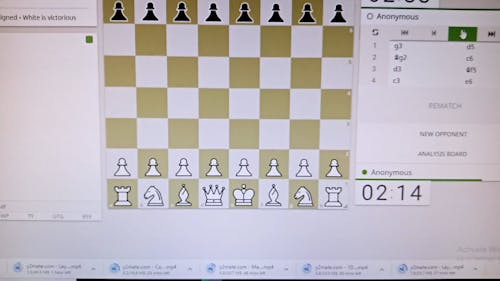Playing Chess on Computer