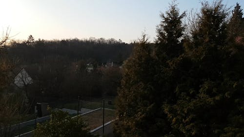 Top View of a Local Residential Area Surrounded by Trees