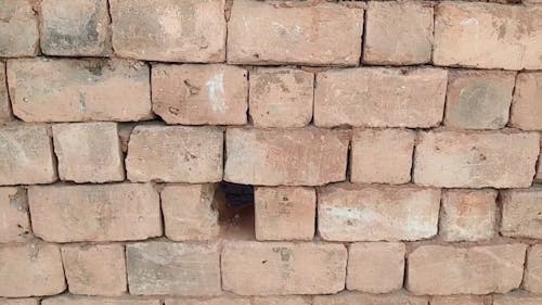 Close-Up View of Brick Wall