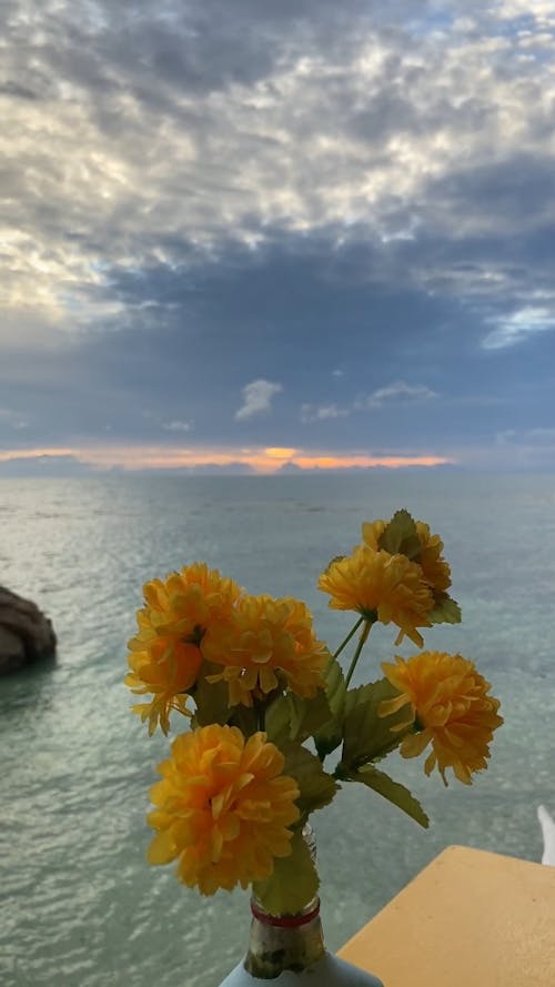 Scenic View of Beach 