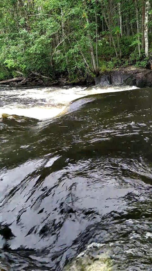 River Flowing through with Rapids