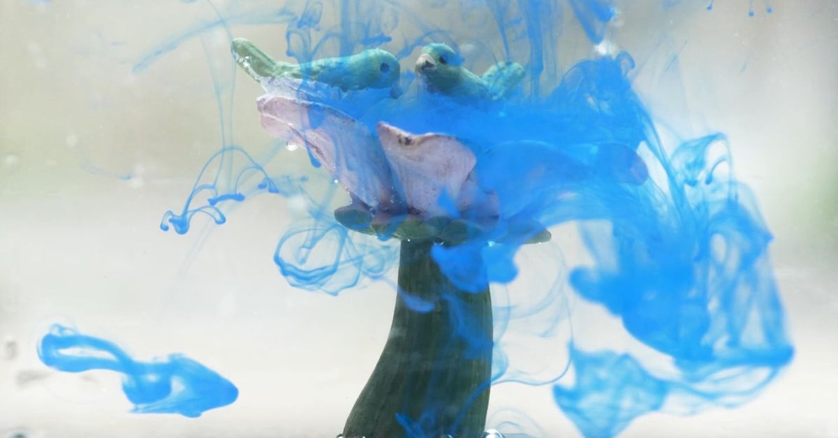 Dissolving Video Color Dissolving in Slow-Motion Free Stock Video Footage, Royalty-Free ...