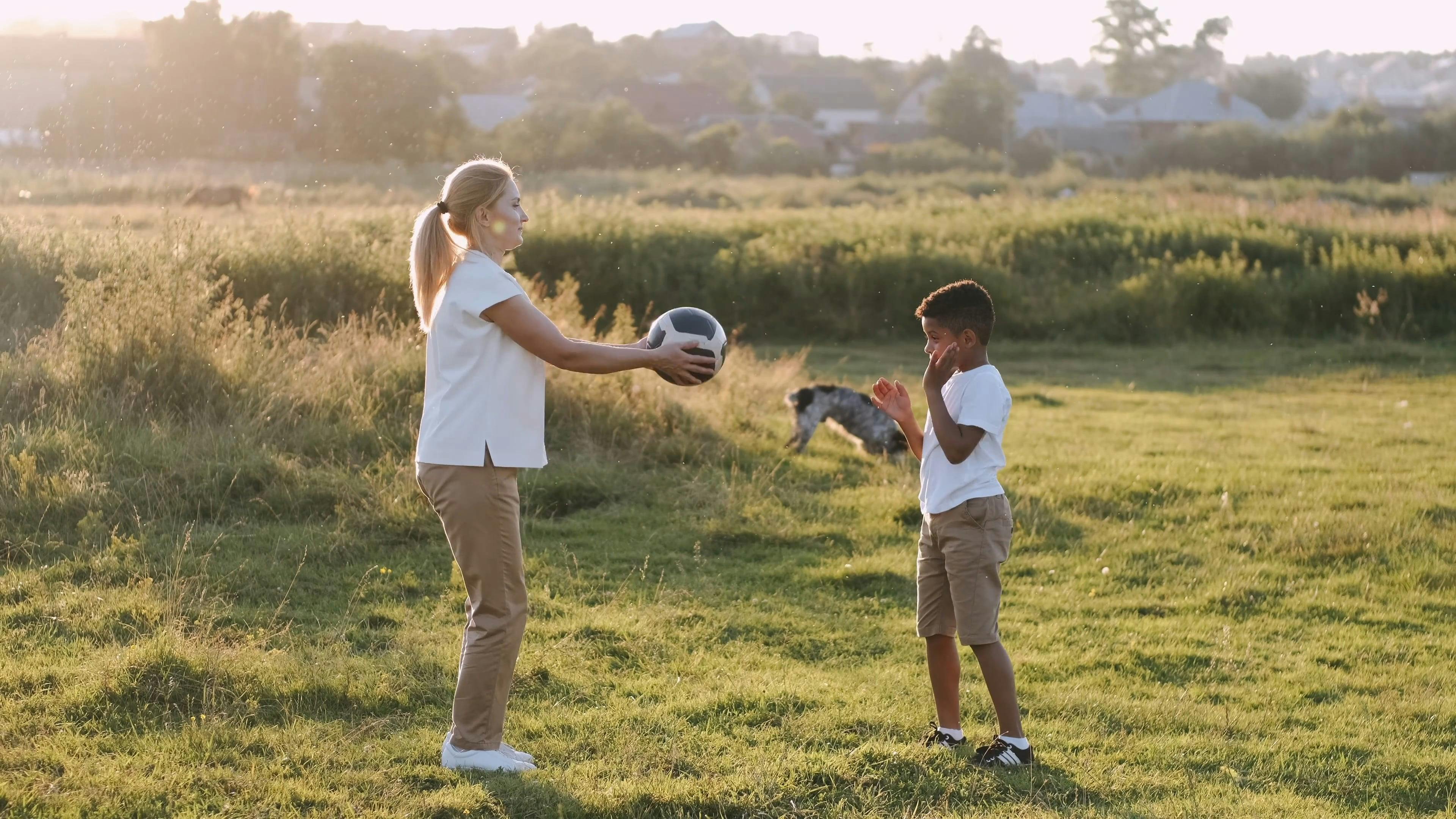 Throw Ball Dog Videos, Download The BEST Free 4k Stock Video Footage