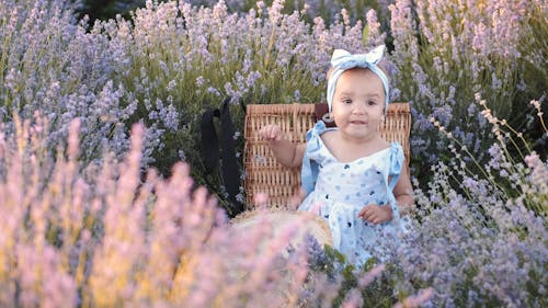 Cute Little Baby Girl Sitting in Lavender Fields
