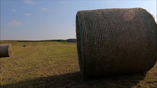 Haystacks on a Farm