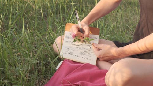 Artist Making Sketches of a Flower in an Open Garden