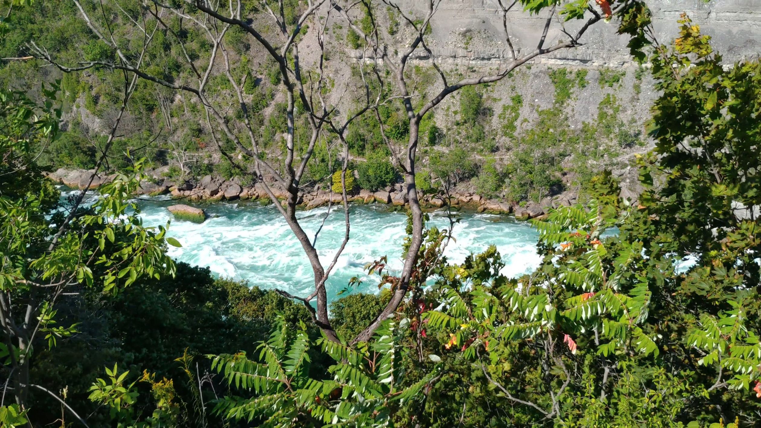 Water Flowing in the River Free Stock Video Footage, Royalty-Free 4K ...