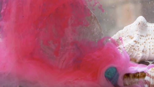 Pink Color Dissolving in Water in Slow Motion