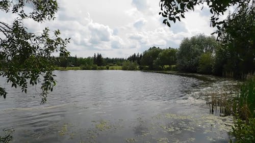 Scenic View of a Beautiful lake