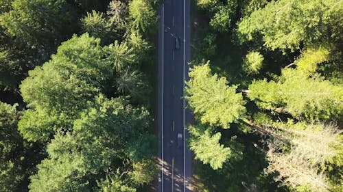 An Aerial Footage of a Road