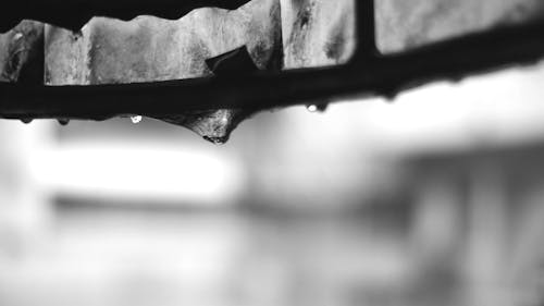 Water Dropping of Roof after Rainfall