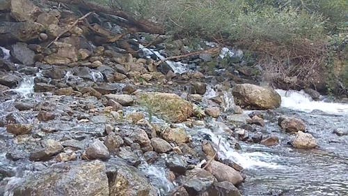 Side View of a Mountain Stream