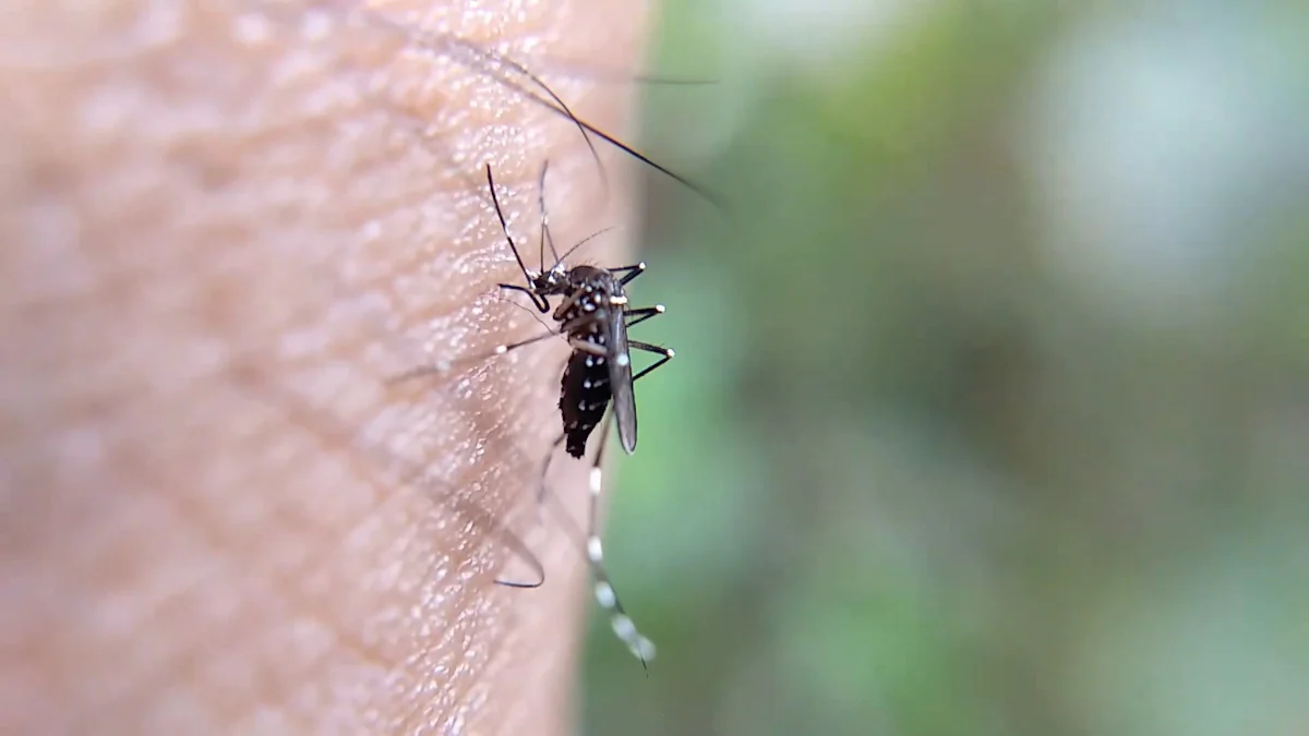 Unveiling the Secrets of Belfans and ShooAway: Which Fly Repellent Reigns Supreme?