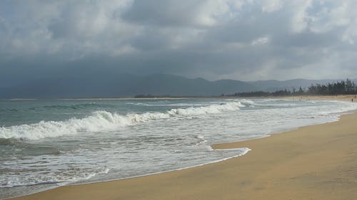 Waves Crashing on the Shore