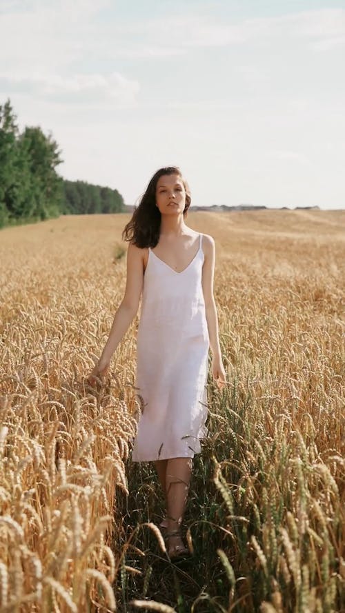 Woman Walking on the Wheat Field