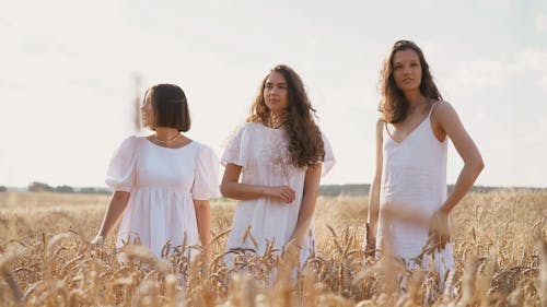 Three Women Standing in a Paddy Field