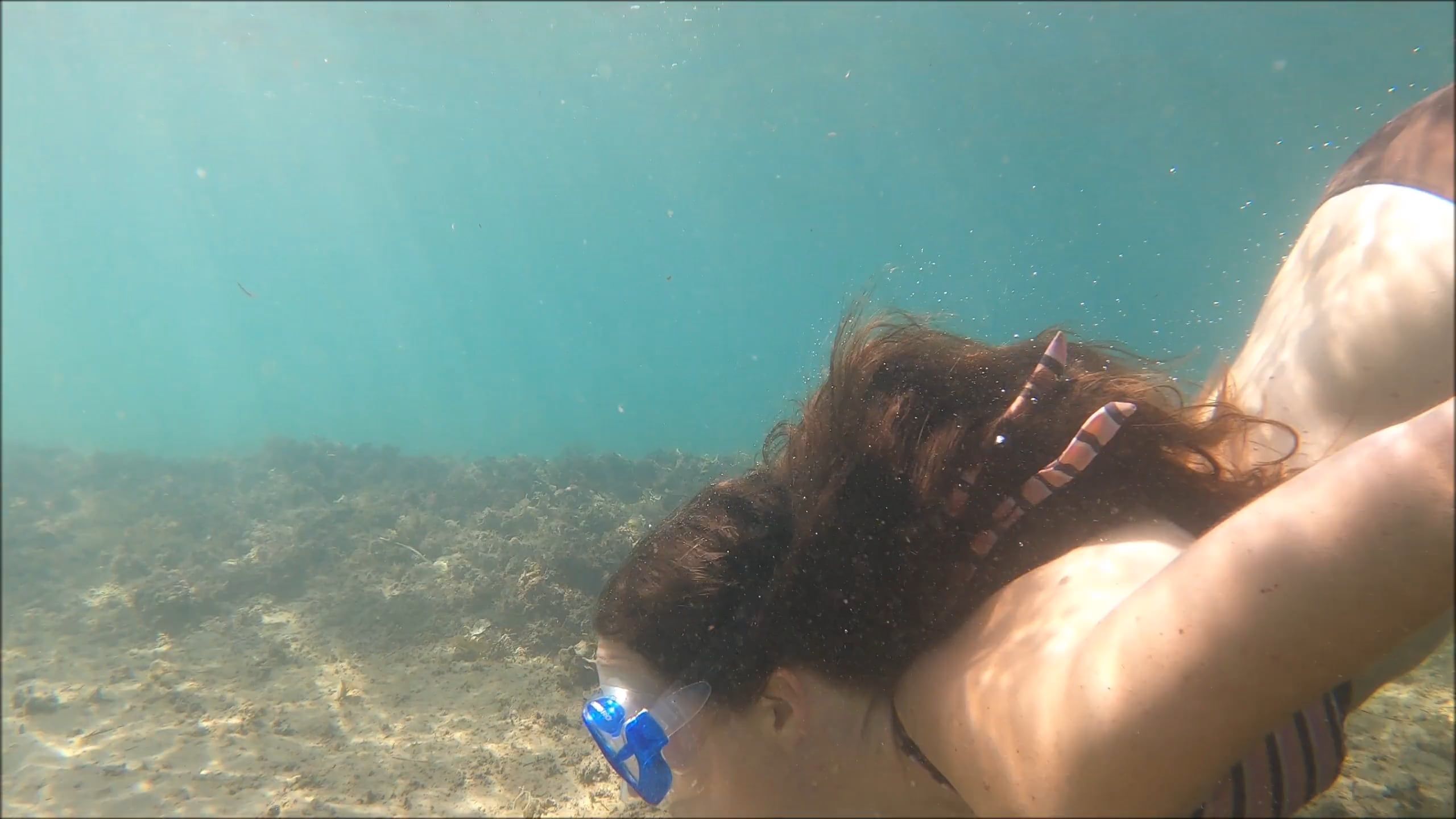woman swimming underwater 5127142 — free pexels stock footage