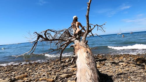 Woman Sitting on a Dried Tree Trunk by the Beach