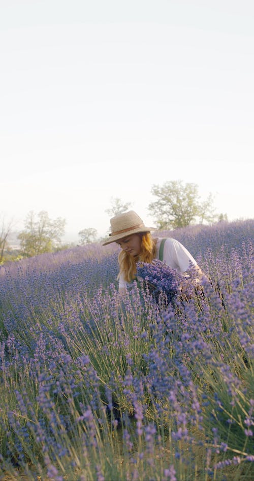 Woman in a Lavender Field