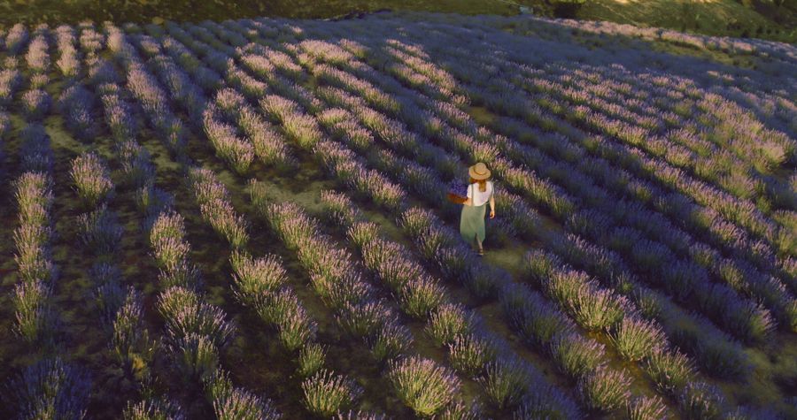 Provence