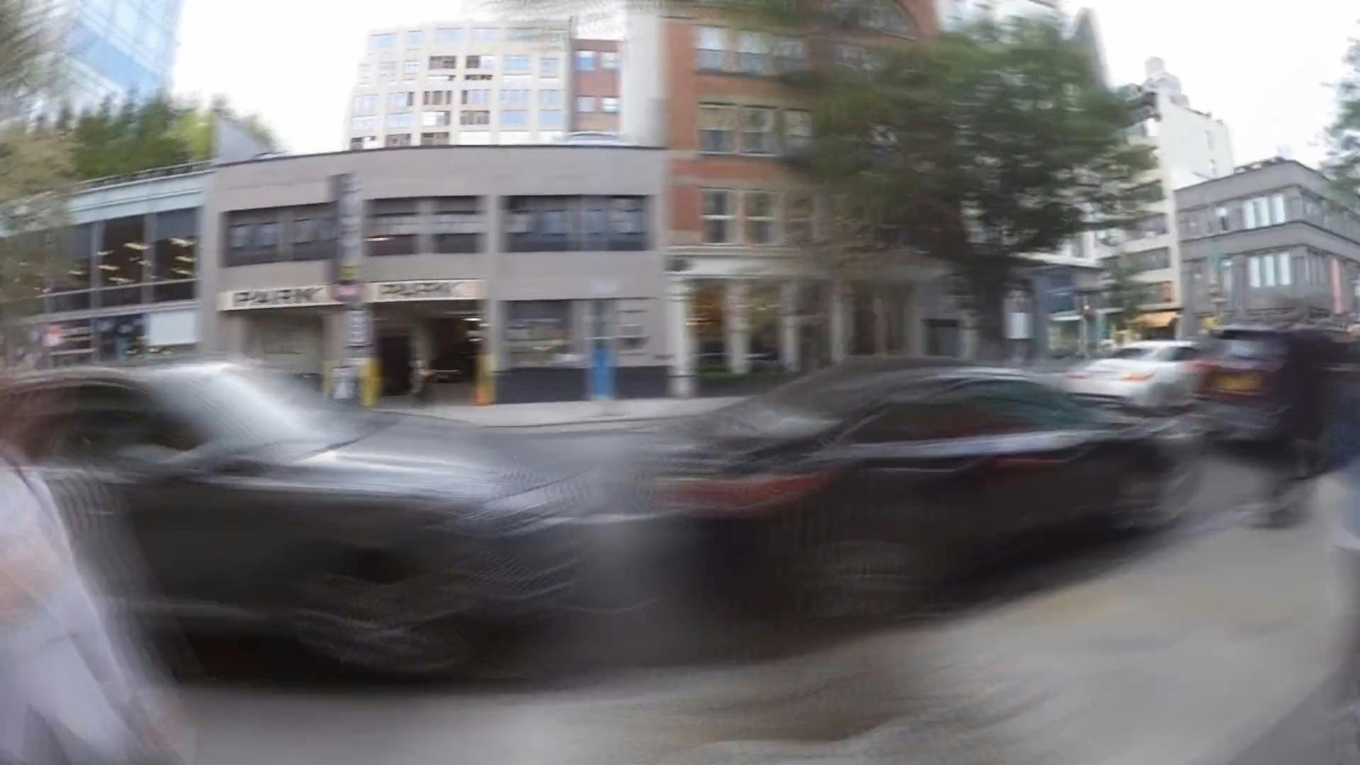 Video by Joseph Eulo