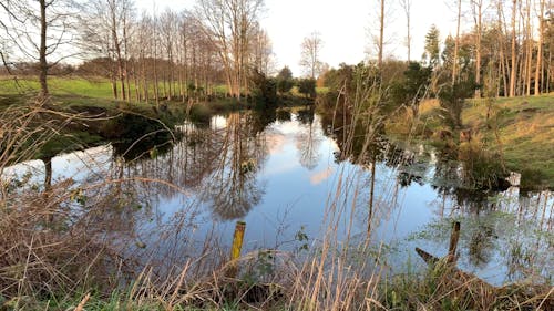 Calm Pond Reflecting the Sky