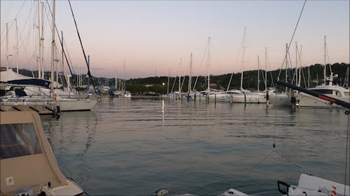 Boats in a Marina