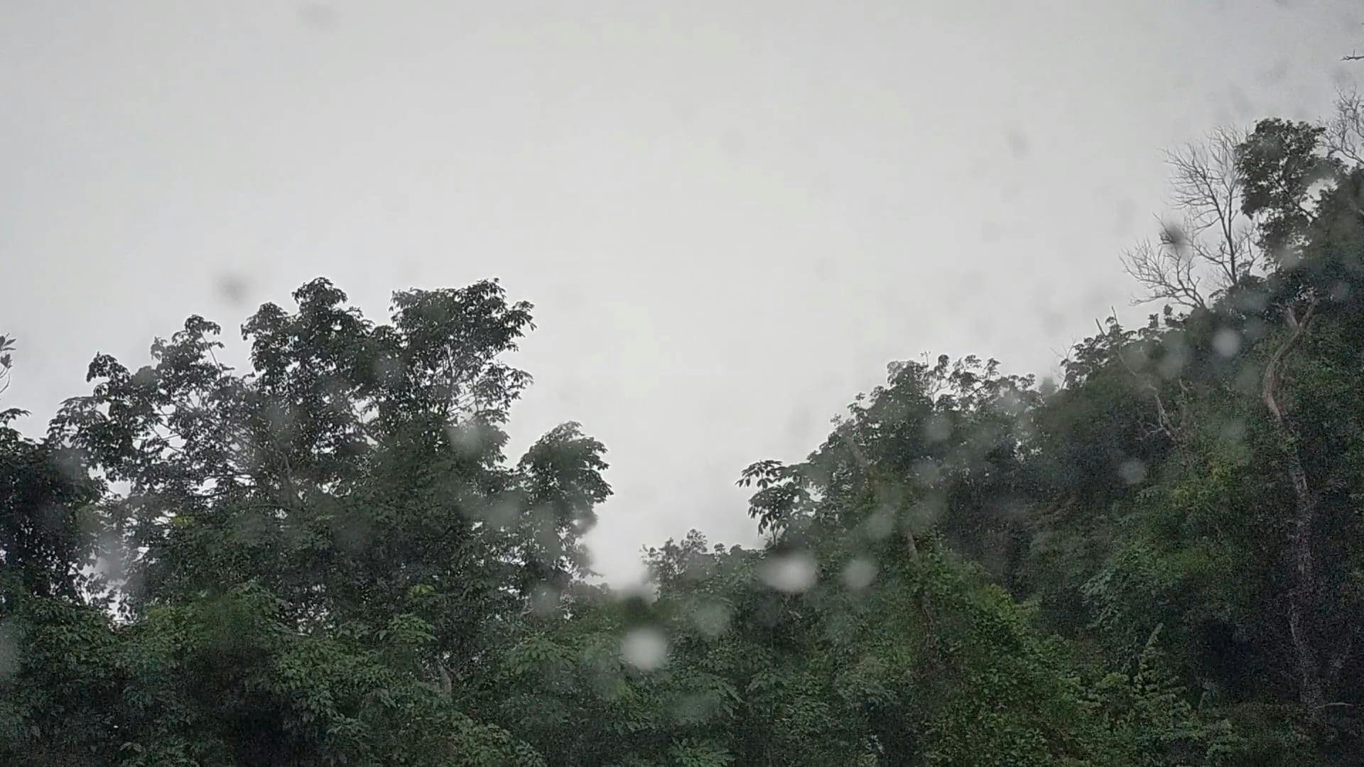 Heavy rainfall causing urban flooding with intense precipitation and street flooding