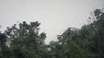 视频素材预览