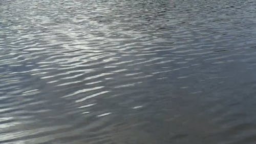 Water Ripples on Lake