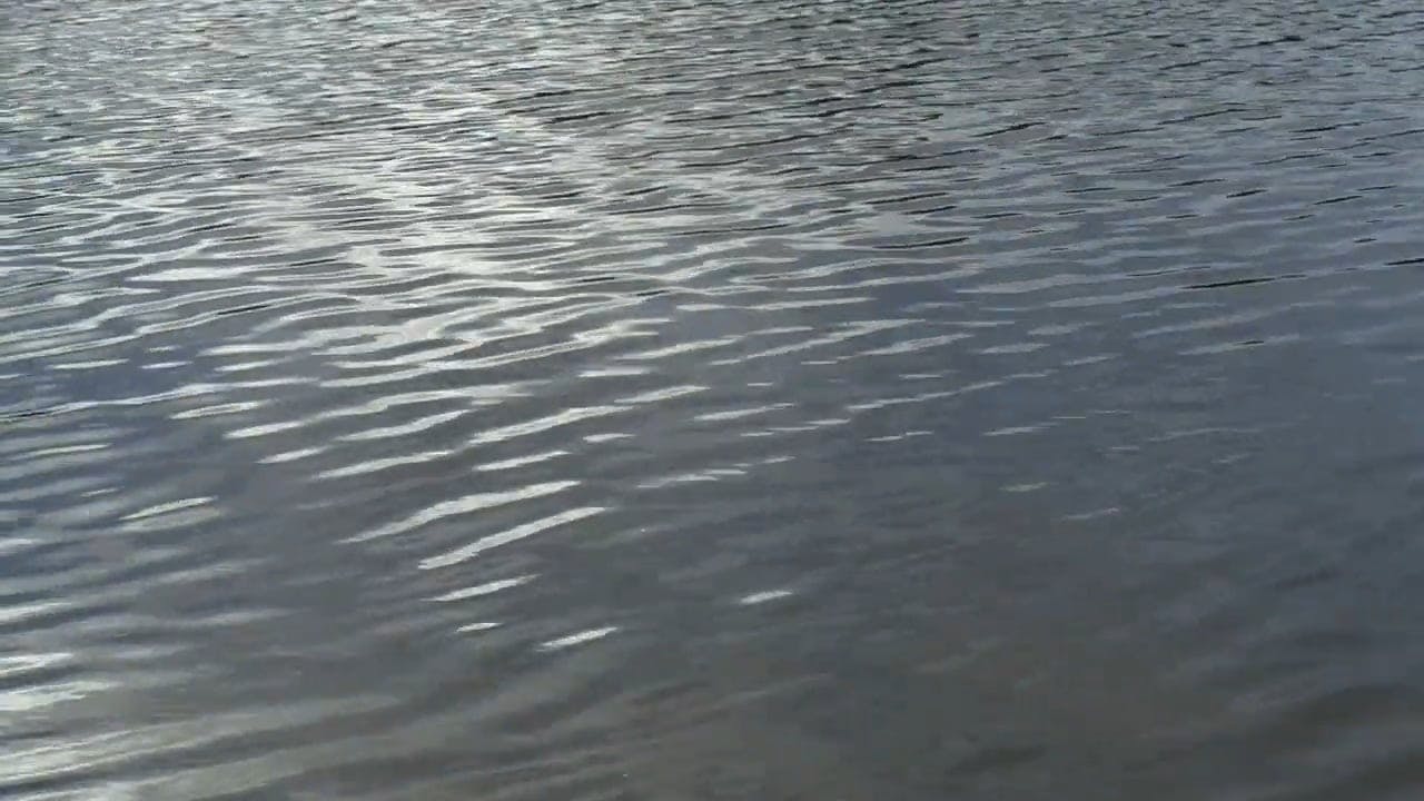 Water Ripples on Lake · Free Stock Video