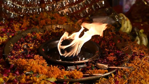 A Fire Burning at the Center Surrounded by Flowers