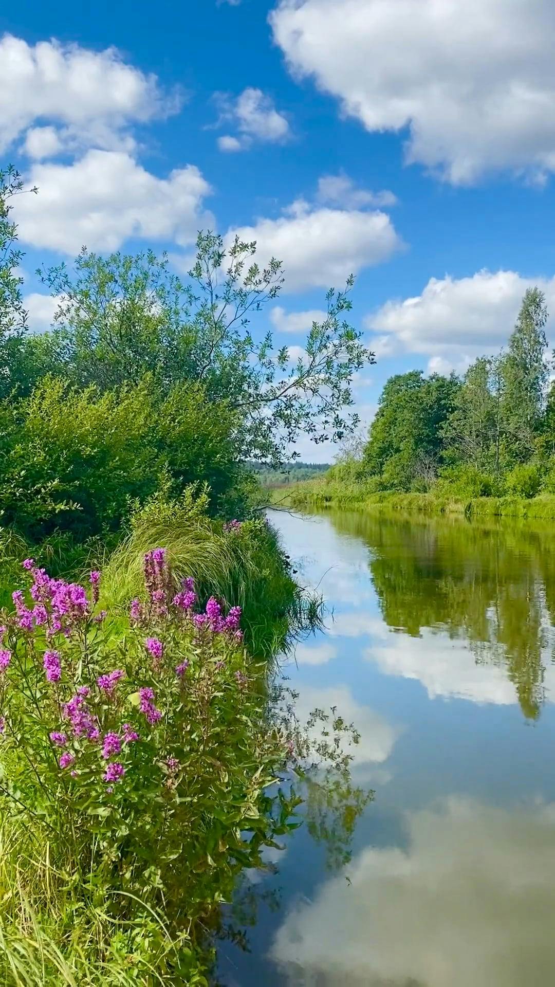 Beautiful Scenery of Flowing Waterfalls and River · Free Stock Video