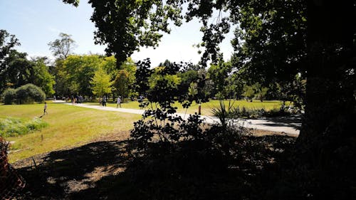 Long Shot View of Beautiful City Park