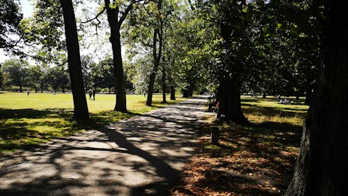 People Walking though Pathway in a City Park