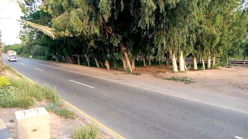 Vehicles Traveling on Roadway