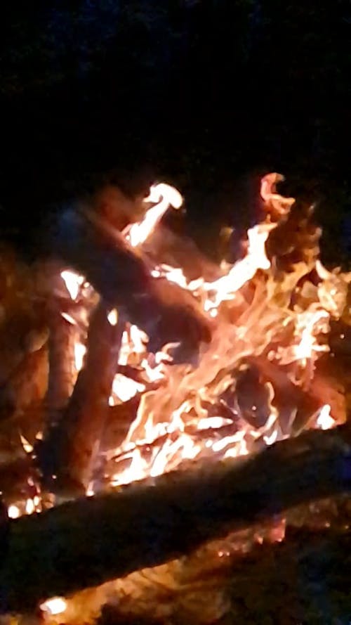 Burning Fire Woods In A Camp Site