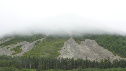 The Mountain Top Covered In Thick Fog