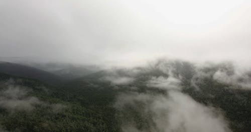 Thick Fogs Hovering Over The Mountain Forest