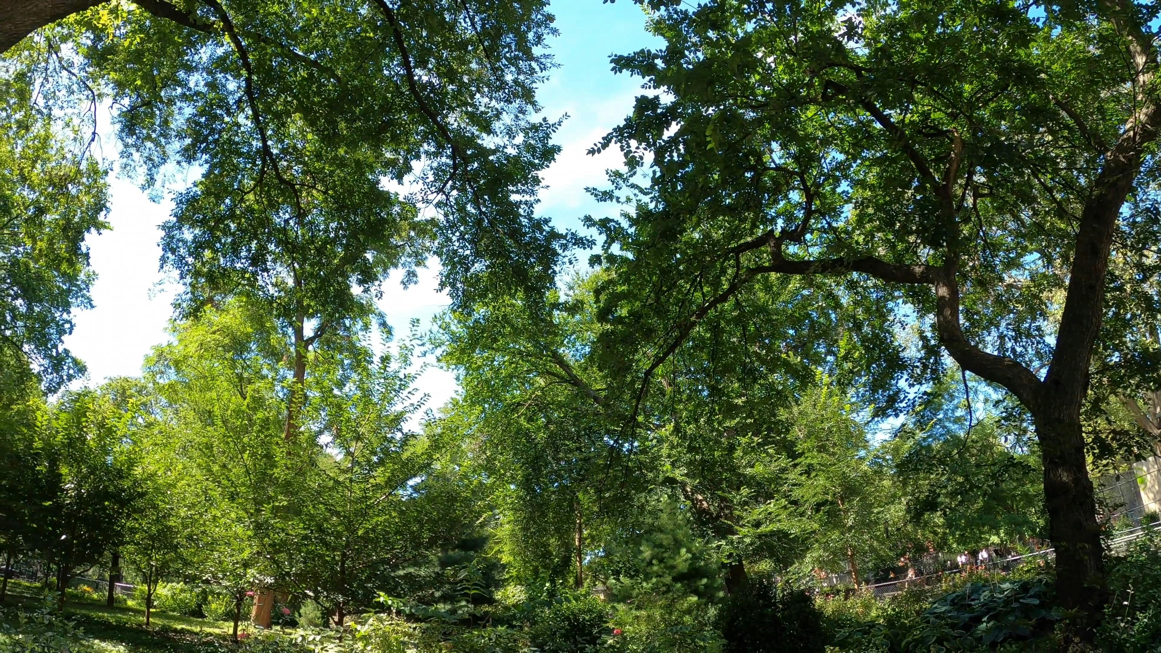 Video by Kanako Nagatomo