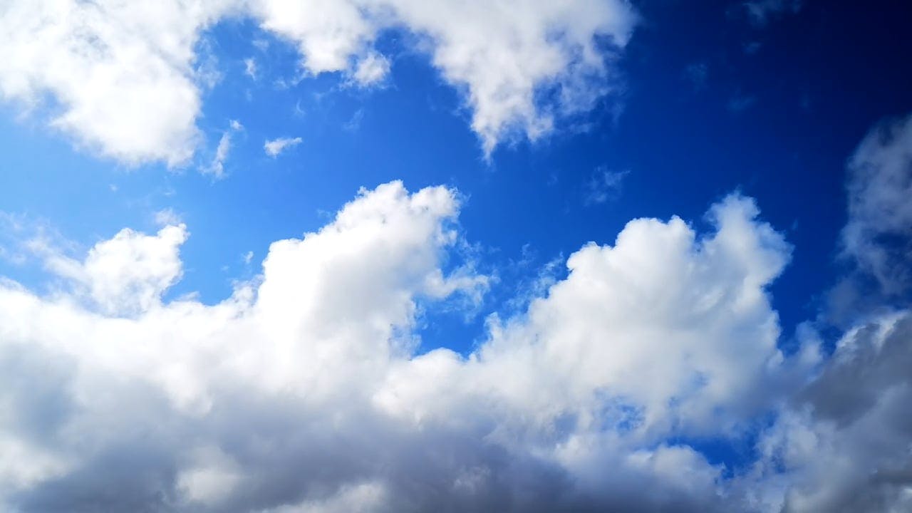 Video by George Morina