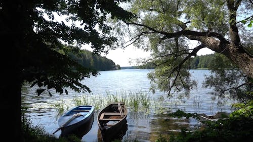 Two Row Boats at the Lakeside