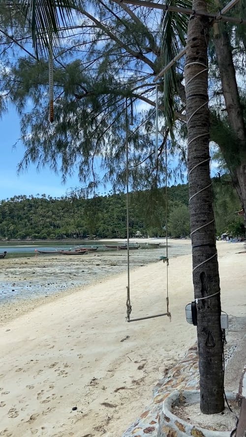 Beautiful Scenery of a Beach Front